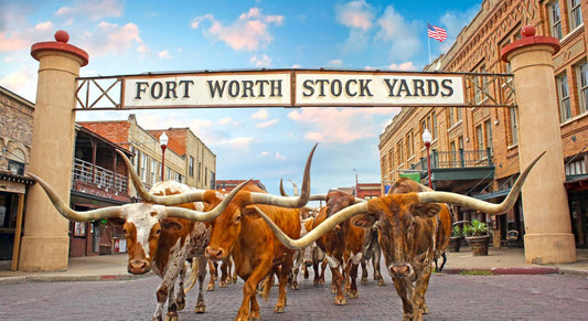 Top 10 Things to do in Fort Worth!